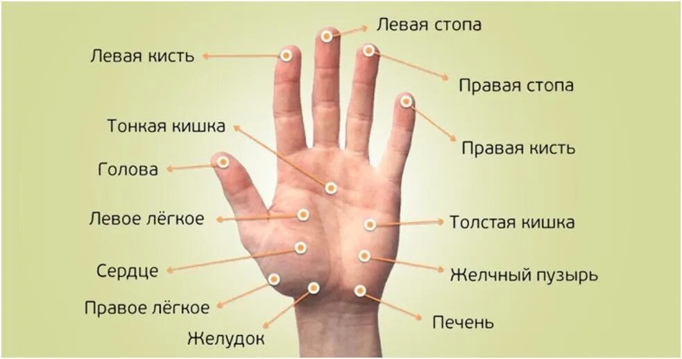 Точки на ладони человека китайская медицина. Точки на руках. Лечебные точки на руках. Акупунктурные точки на ладони. Точки на руках для массажа