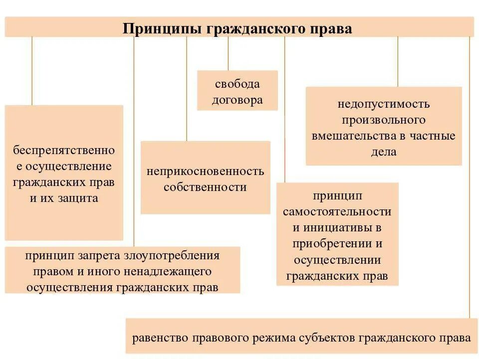 Свобода и собственность принципы. Правовые принципы в гражданском праве.