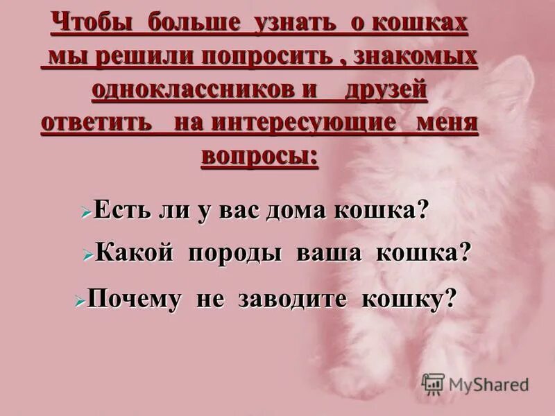лучшие анекдоты. мемы про майнинг. знакомый попросил. картинка когда стесняешься. латиносы мем.
