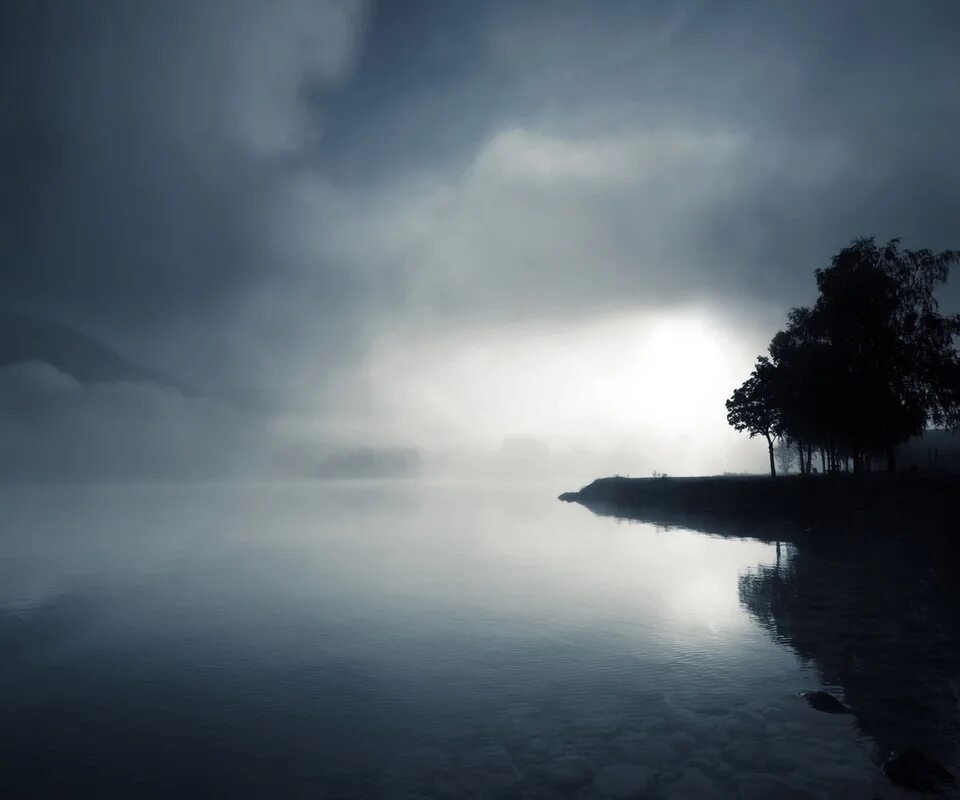 Сумрак. Сумрак. Сумрачный вечер. Hdri туманный лес. Природа в темных тонах.