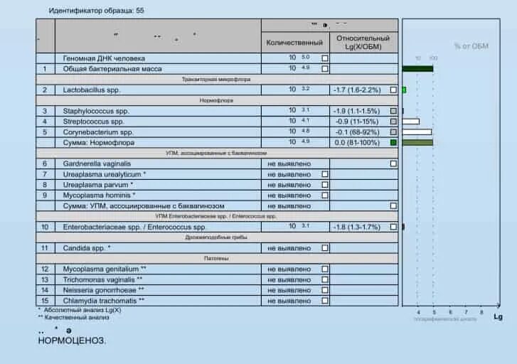 Мазок андрофлор у мужчин. Андрофлор 16. Андрофлор скрин нормальные показатели. Исследование биоценоза урогенитального тракта Андрофлор. Общая бактериальная масса норма у мужчин в Андрофлор.