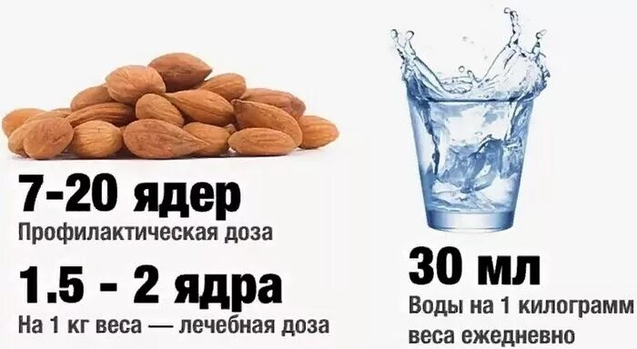 В каких витаминах содержится в 17. Продукты содержащие витамин в17. таблица продуктов содержащих витамин в17. где содержится витамин b17. витамин в17 в каких продуктах содержится.