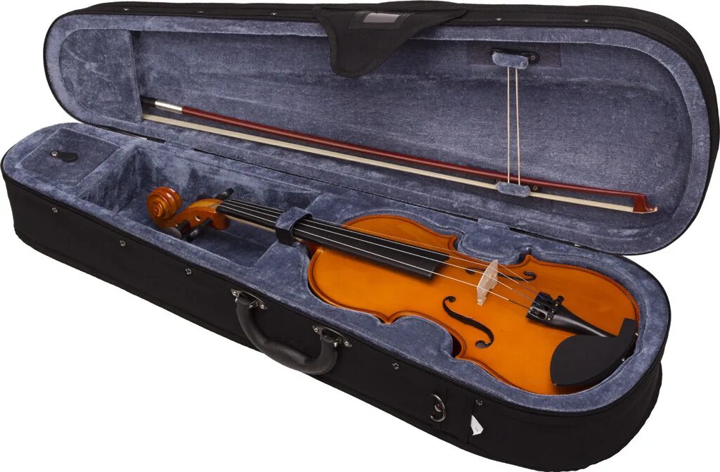 Купить скрипки 2. Скрипка Stagg VL 3/4. Скрипка Stagg Violin 4/4. Скрипка в футляре v100. Stagg 160 v аккумуляторный.