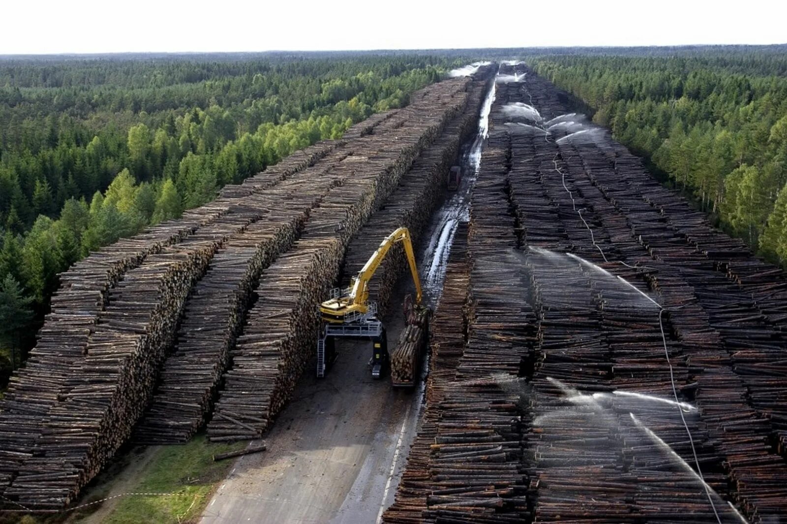 Сибирский лес вырубают китайцы. Вырубка леса в Сибири китайцами. Хранилище поваленной древесины в Швеции -. Крупнейшее в мире хранилище древесины в Швеции.