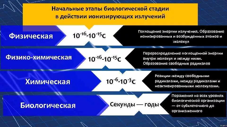 Этапы биологического действия ионизирующих излучений. Физико химическая стадия действия ионизирующего излучения. Биологическое действие ионизирующий излучений. Этапы воздействия радиации на организм. Назовите основные стадии химического