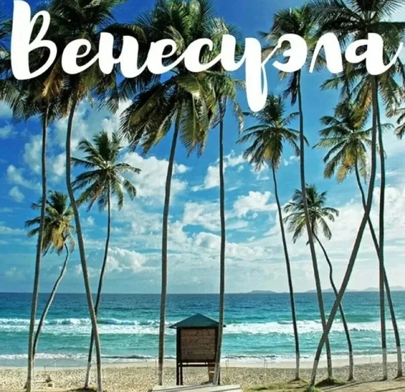 тур венесуэла с перелетом из москвы. остров орхидей маргарита венесуэла. венесуэла остров маргарита отдых 2023. пляжи маргариты венесуэла. карибы остров маргарита.
