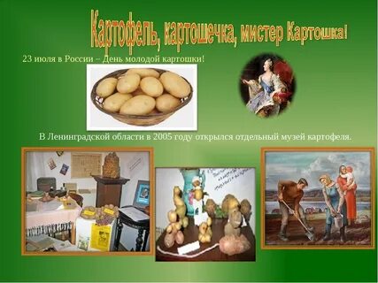 Когда будет день картошка