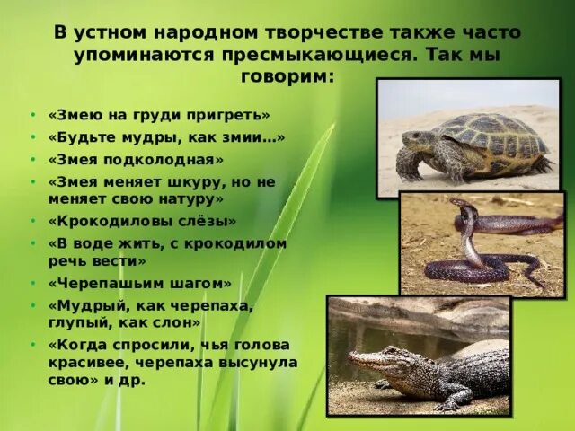 Змея подколодная значение. Змея подколодная значение