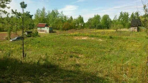 Луково участок. Луково участок. Луково участок. Школа в лаврино великие луки. Деревня луки.