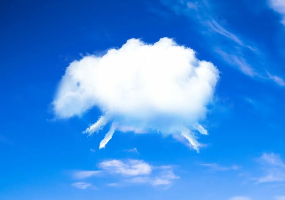 На что похожи облака. Облака похожие на животных. Облака в виде зверей. На что похоже облако.