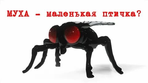 Фраза мухой