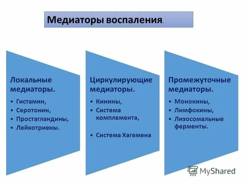 К медиаторам воспаления относятся