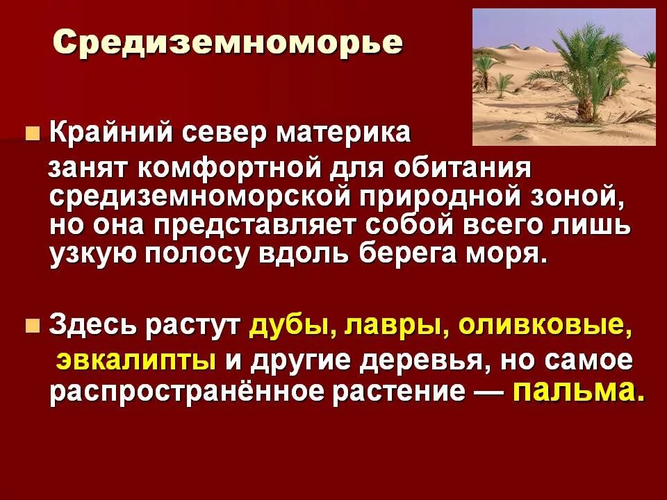 Природные зоны египта и их основные особенности. Средиземноморская природная зона. Средиземноморская природная зона животные и растения. Средиземноморский климат природная зона. Средиземноморская зона растения.