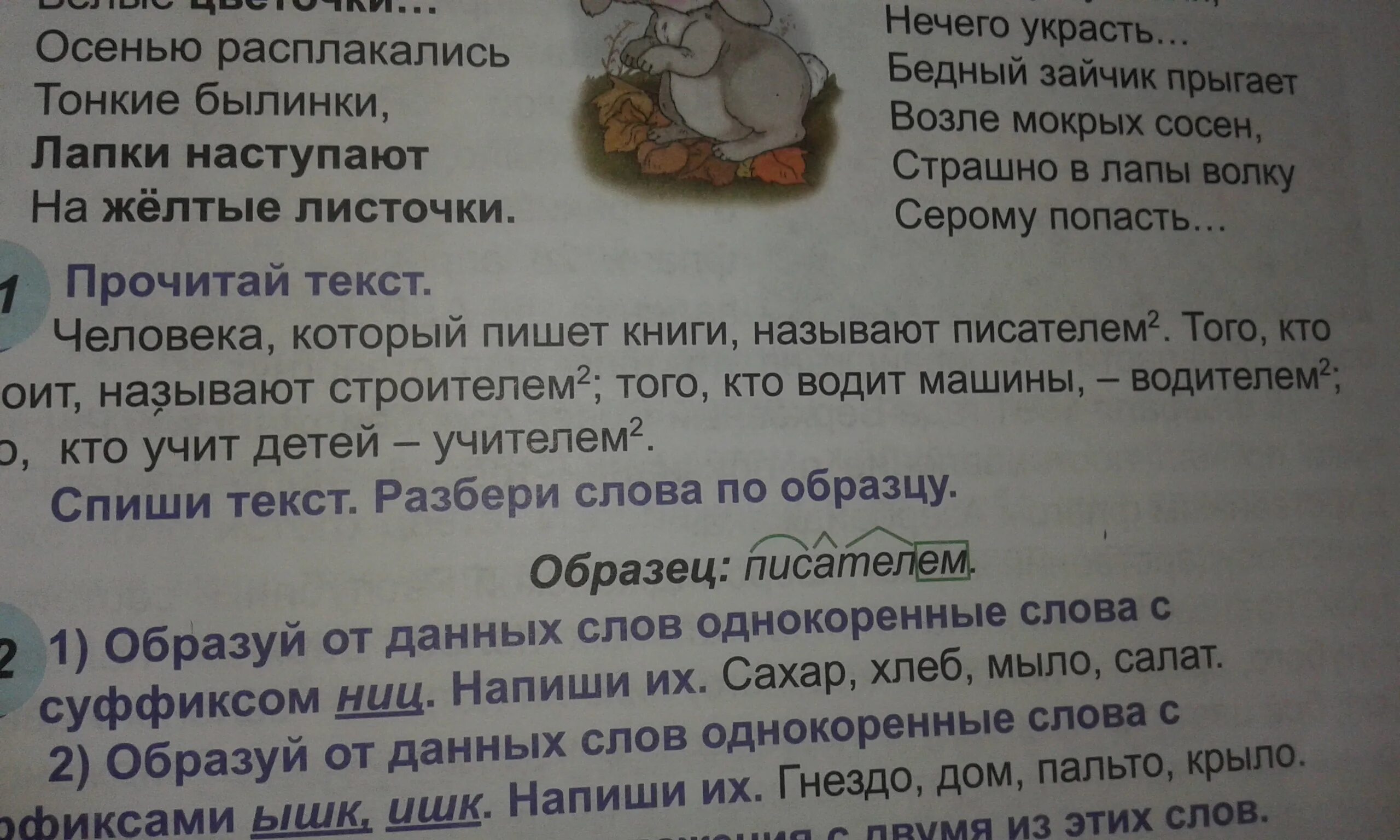 Разбор слова заяц. Бедный зайчик прыгает возле мокрых сосен. Разбор слова салат. Составь гнездо слово дом. Разбор слова ужасный