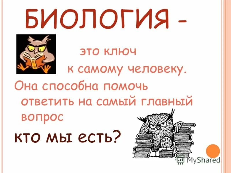 Необходимую для изучения а также