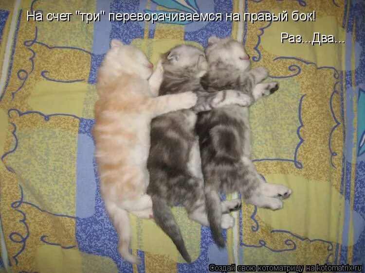 Как на счет. Насчет 3. Насчет 3. На счет три расстаемся значит. Насчет 3.