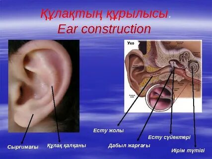 Ойыншықтар туралы бейнені қараңыз.