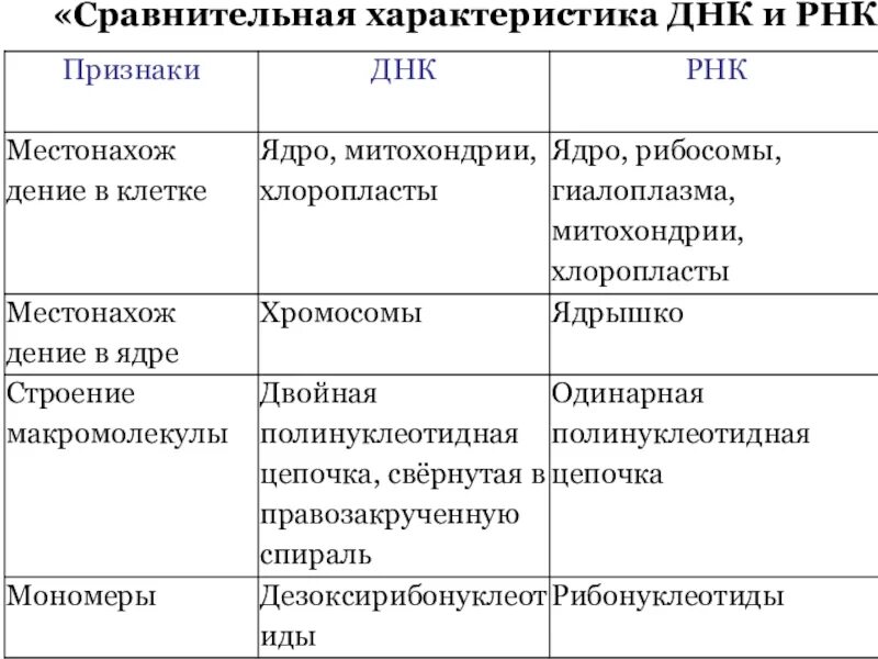 Составить сравнительную характеристику днк и рнк: найдено 90 изображений