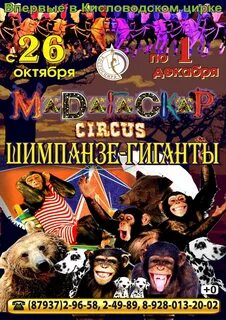 Цирк октябрь