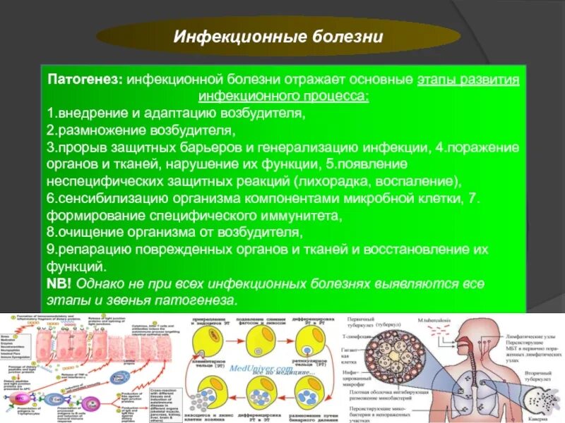 Сообщение о инфекционных заболеваниях. Механизм развития инфекционного процесса. Патогенез при инфекционных болезнях. Этиология инфекционных заболеваний. Механизм развития инфекционных заболеваний.