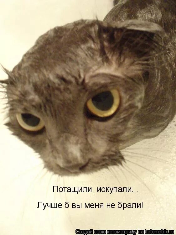 Обманули заманили. Малком зенит. Родители не отпускают ребенка. Потащить. Обманули заманили.