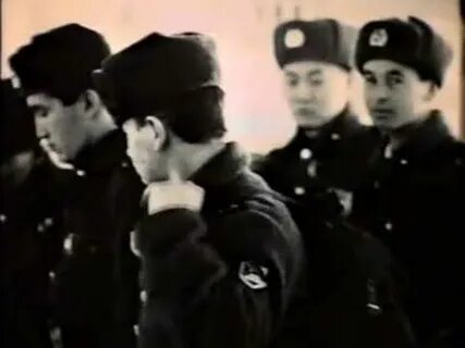 Дмб 91