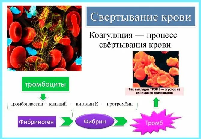 Почему происходит свертывание