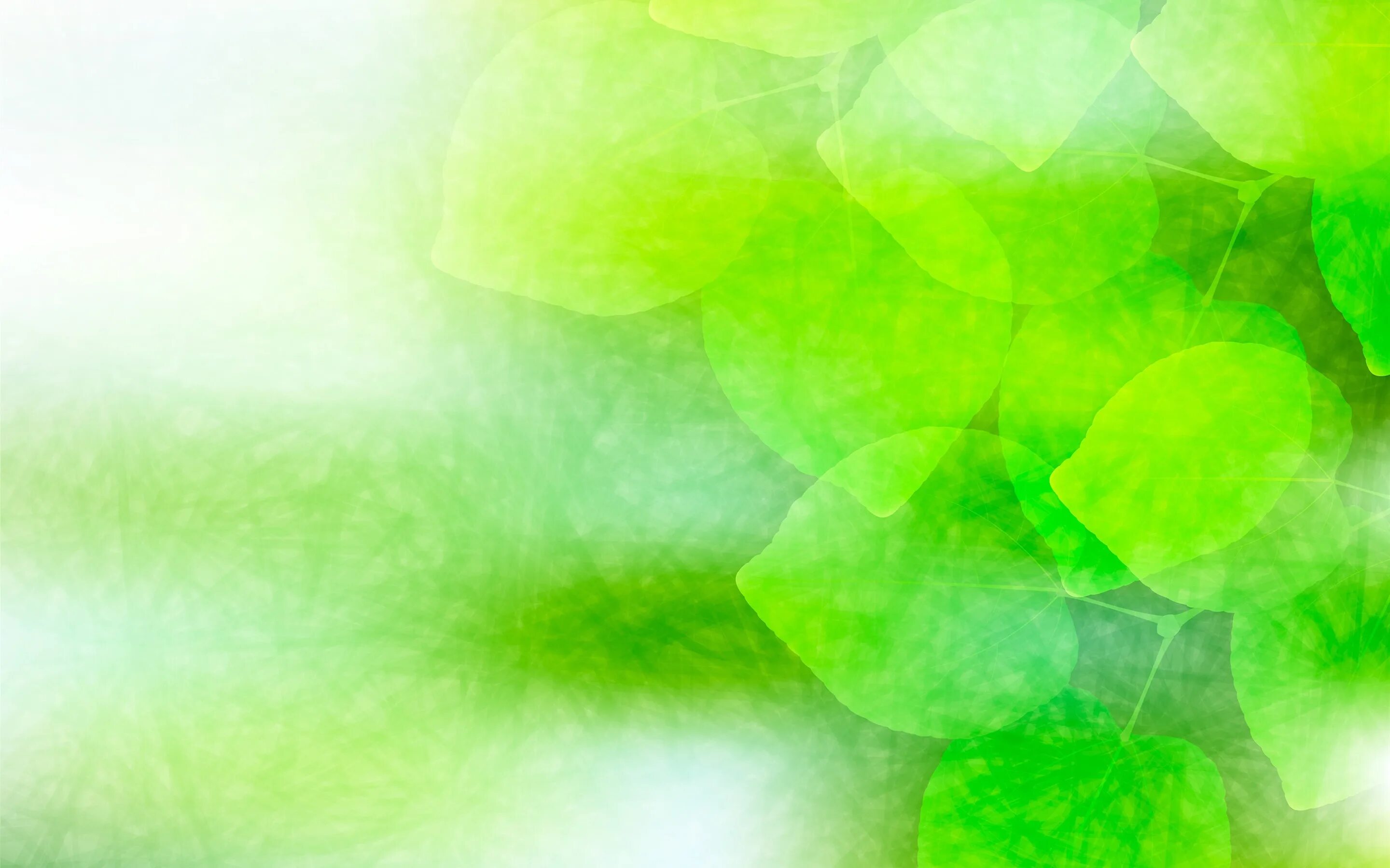 Бледно зеленый цвет листьев. Абстракция в зеленых тонах. Салатовый фон. Фон зеленый нежный. Салатовая абстракция.