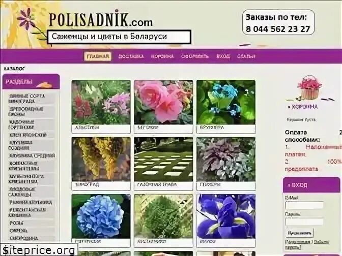 Процветок бу каталог 2024
