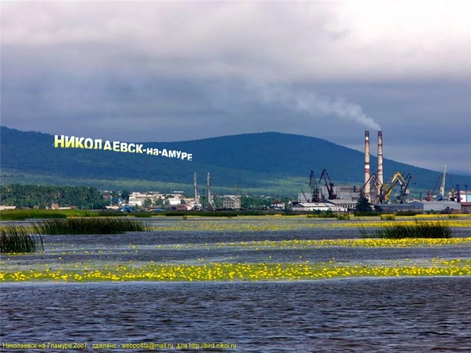 Николаевск-на-Амуре Хабаровский край. Николаевск на Амуре. Г Николаевск на Амуре Хабаровский край. Порт Николаевск на Амуре Хабаровский край.