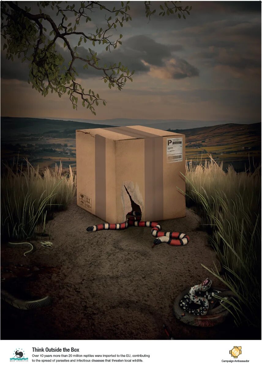 Outside the box 3. Think outside the box обои. outside the box. outside the box игра.