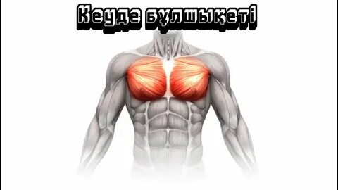 Трансвеститтермен және қыздармен порно