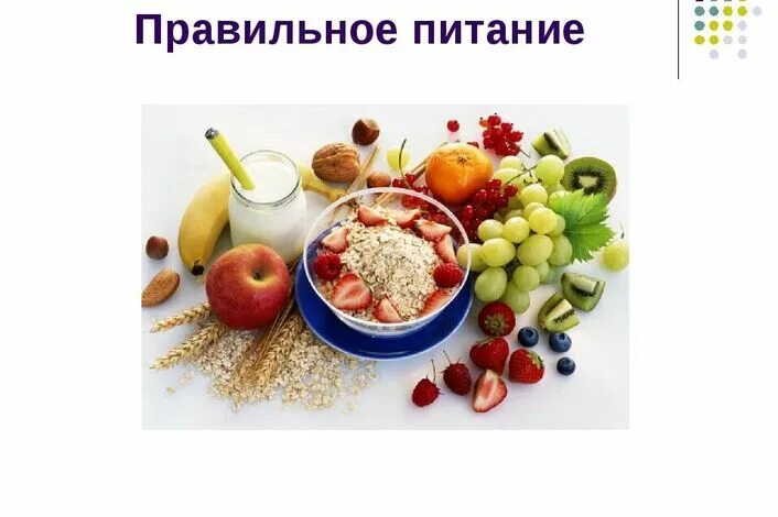 Проект здоровое питание 10 класс Проект здоровое питание 10 класс