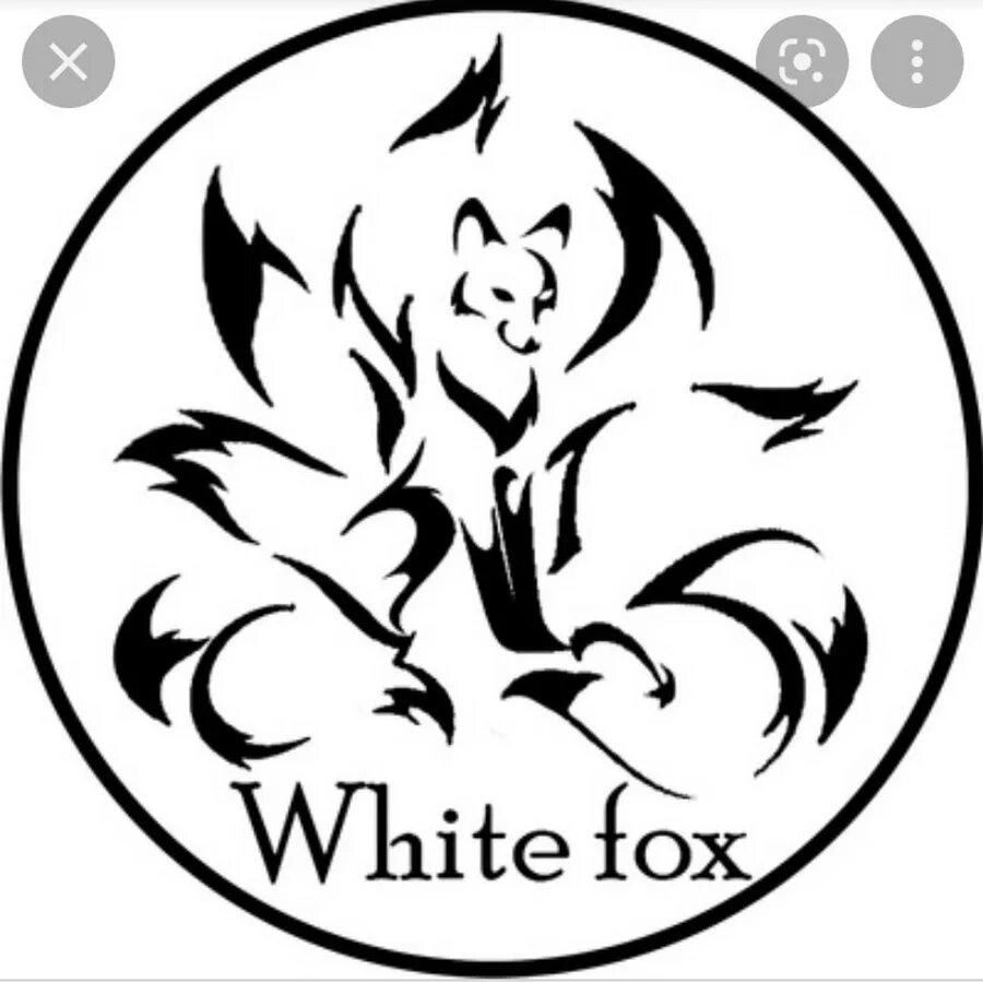 White Fox студия. White Fox кафе. White Fox ВК. Кафе белый Лис в Витебске. Fox names