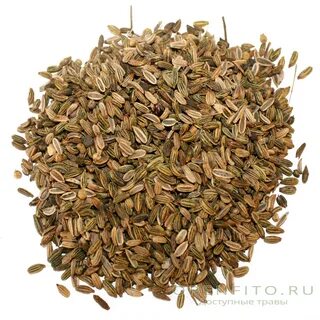 Какие семена укропа
