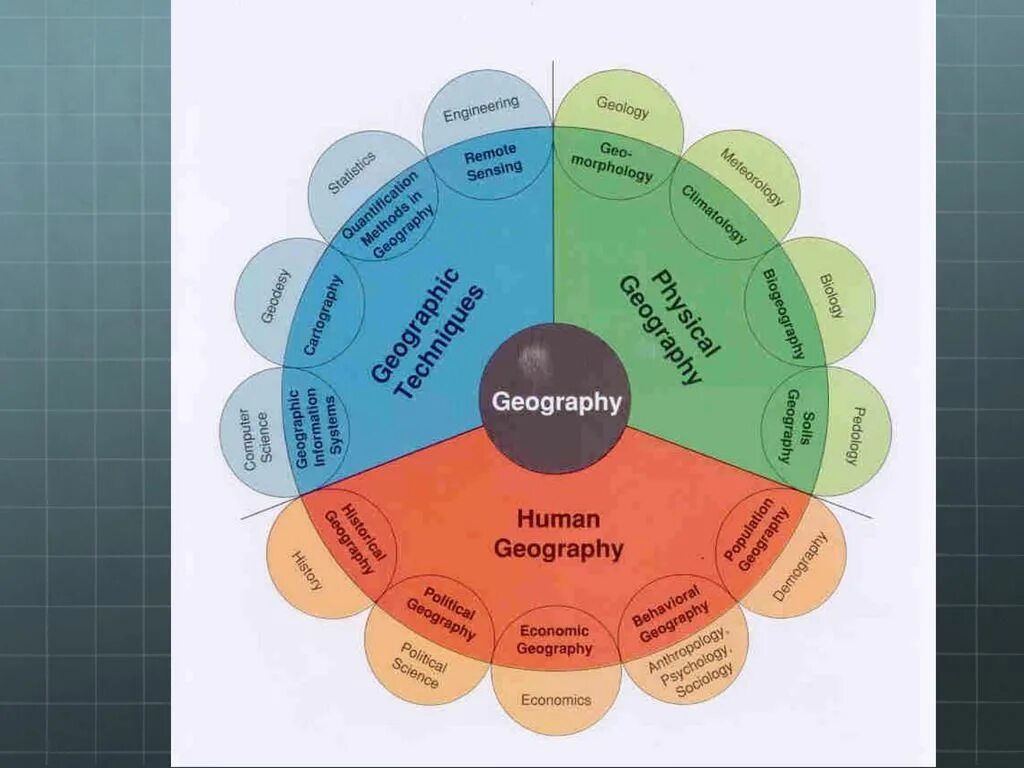 Vocabulary Levels. Vocabulary level