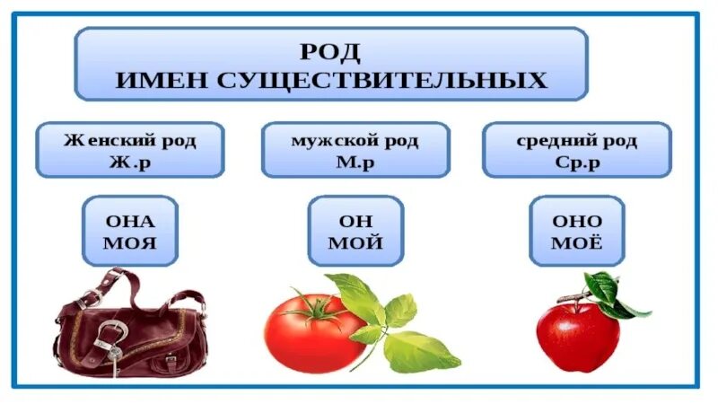 Тема существительное. Имя существительное презентация. Имя существительное 2 класс. Имя существительное 2 кл. Существительное 2 класс.