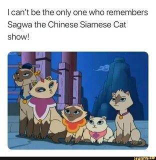 I can't be the only one who remembers Sagwa the Chinese Siamese Cat.