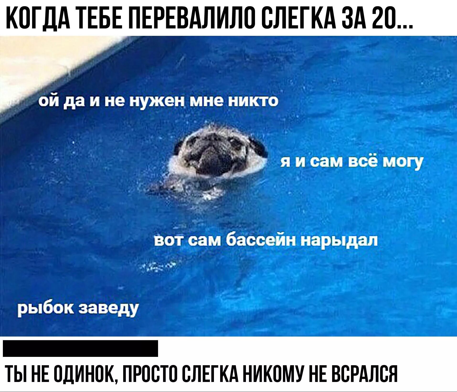Я никем не работаю я ребенок. Ты кот. Я никем не работаю я ребенок. Мотивирующие фразы короткие. Мотивирующие надписи.