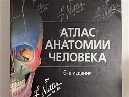 Атлас неттер 7 издание