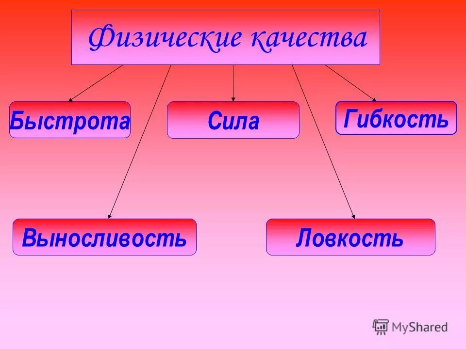 Пять основных физических качеств человека. Определения быстрота сила выносливость ловкость. Физические качества человека быстрота. Определения быстрота сила выносливость ловкость. Определения быстрота сила выносливость ловкость.