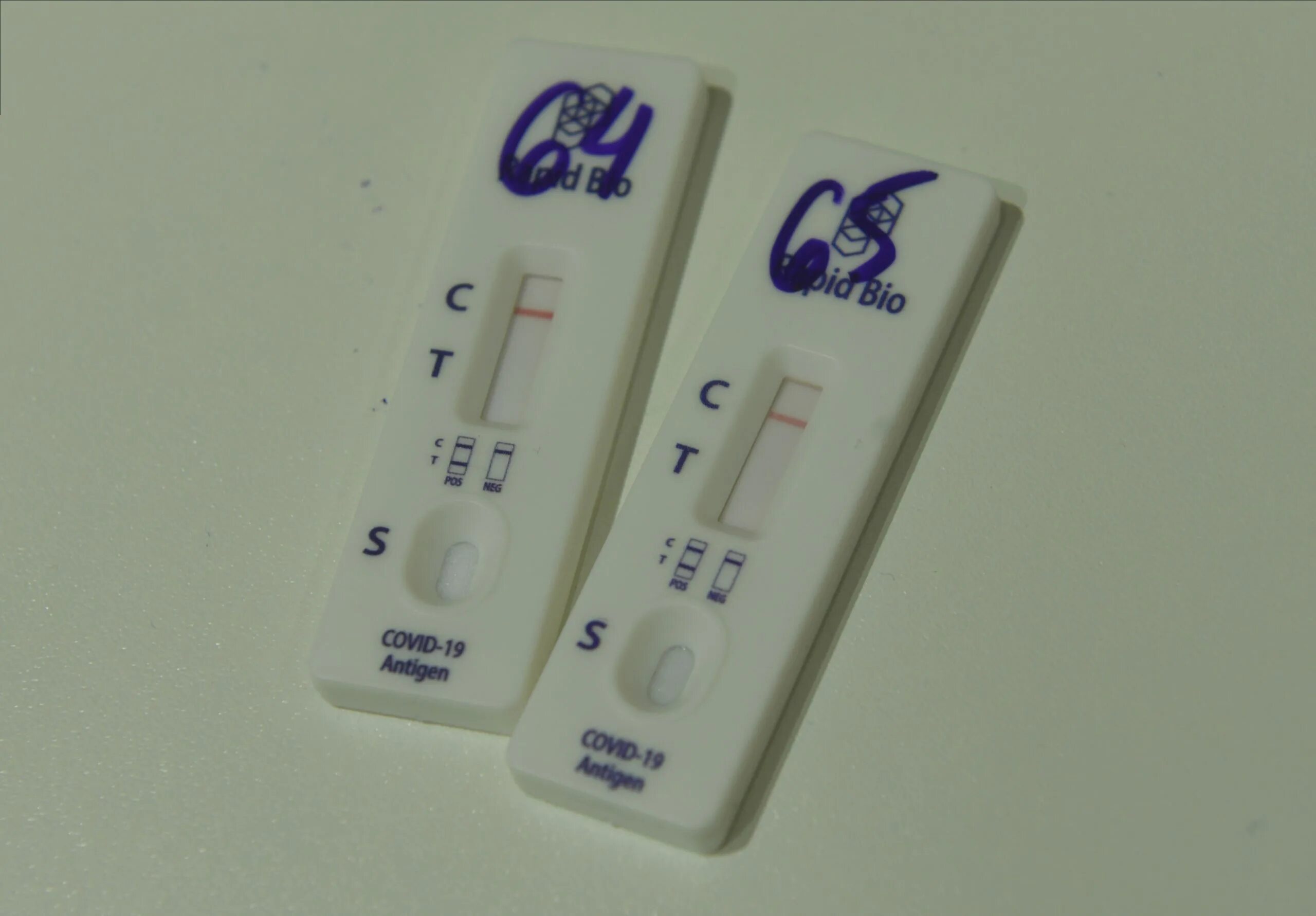 Экспресс тест в мфц. Экспресс тест на ковид в москве. Картинки экспресс теста на ковид. Экспресс-тест на covid-19. Экспресс-теста.