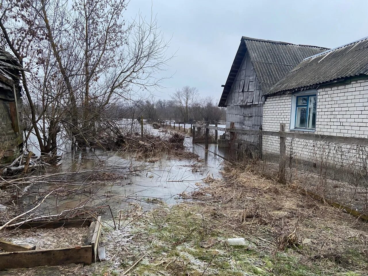 Уровень воды в болве брянск на сегодня. Радица-Крыловка Брянская область. Паводок Брянск 2023 Радица Крыловка. Речка Радица Брянская область. Паводок.