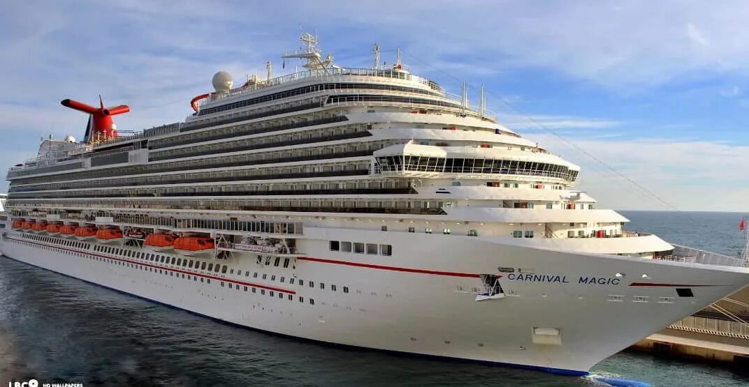 Oasis of the seas. самый большой круизный лайнер в мире. Dockwise корабль. самый тяжелый корабль. Wonder of the seas лайнер круизный.