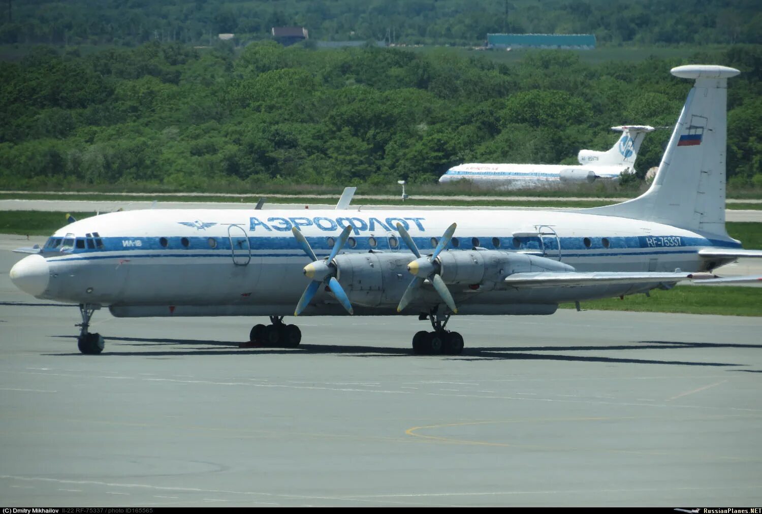 Севший в анапе ил 22. Самолет ил 22 hd картинки. Севший в анапе ил 22. Ил 22 взлет. Ил 22 бизон.