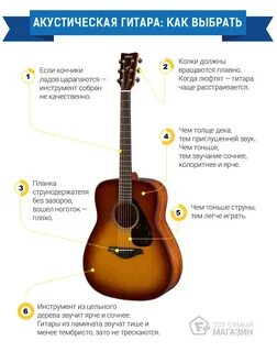 Гитара для начинающих какую
