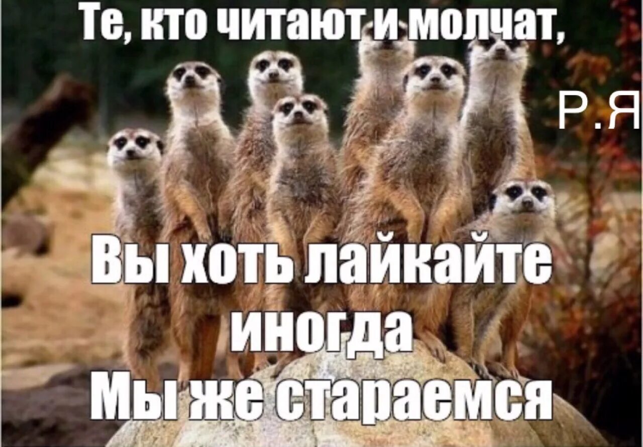 Есть кто нибудь в группу