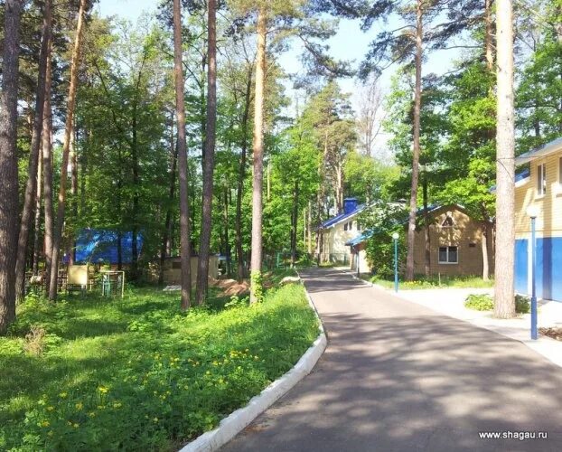 Загородный отель волга нижегородская область балахна. Пансионат волга нижегородская область. Загородный отель волга нижегородская область балахна. Турбаза волга нижегородская область. Пансионат волга балахнинский.