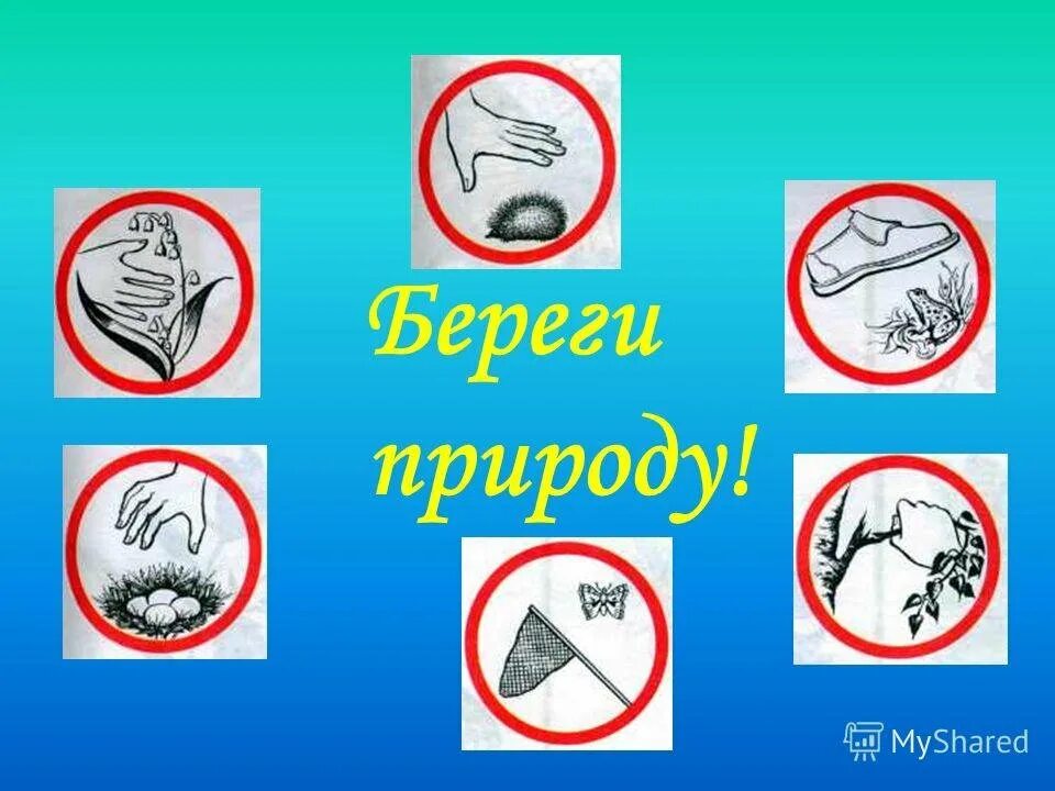 Какие знаки можно встретить в заповеднике. Знаки защиты природы. знаки защиты природы для детей. берегите природу. знаки по охране животных.