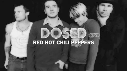 Hot chili текст